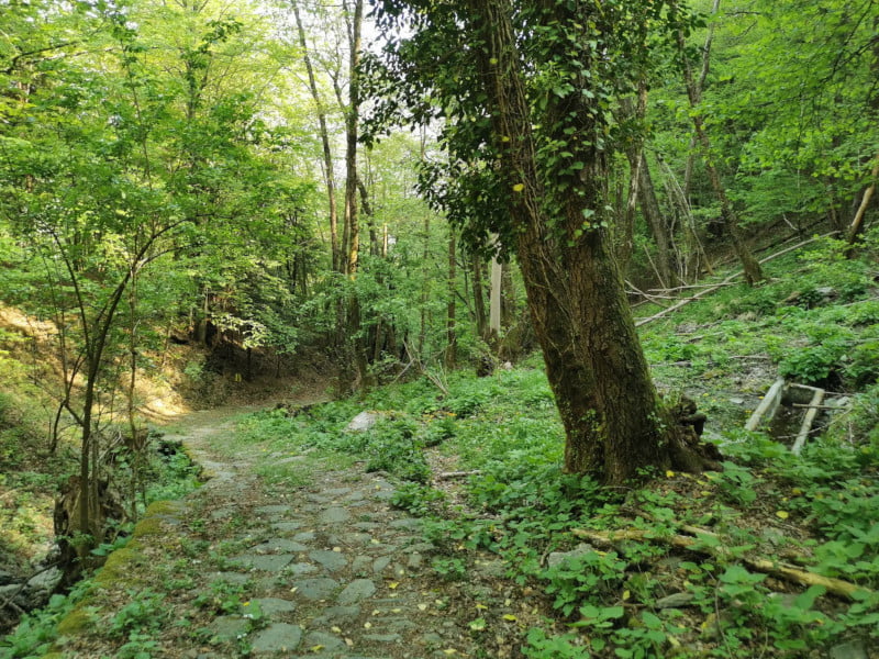 Romea strata in bicicletta