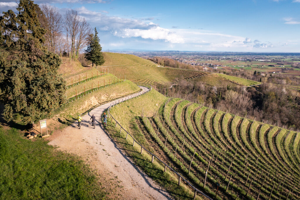 cycle path along the vineyards of Savorgnano del Torre