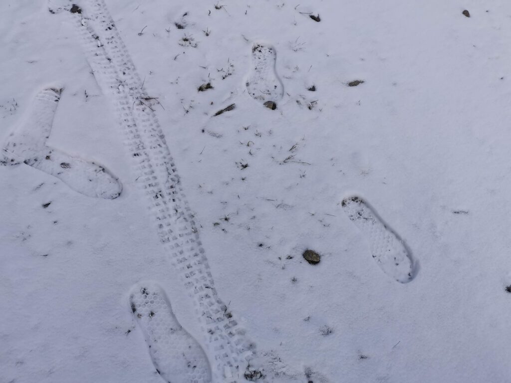 orme sulla neve fresca