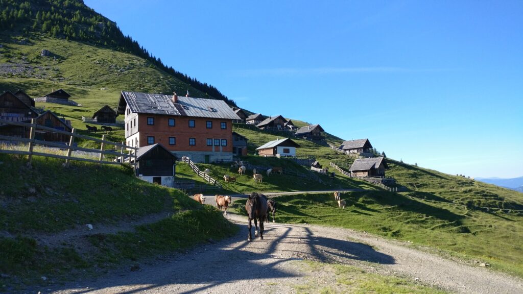 alpeggio in Austria