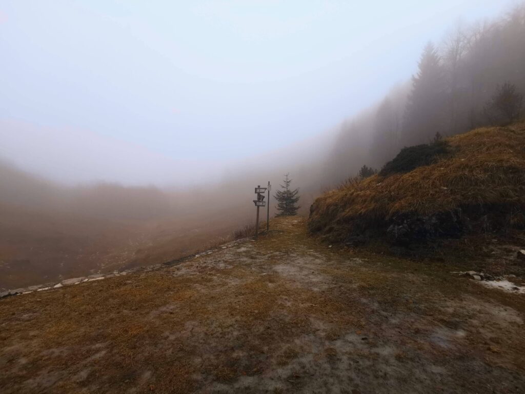 nebbia e umidità a Malga Jovet