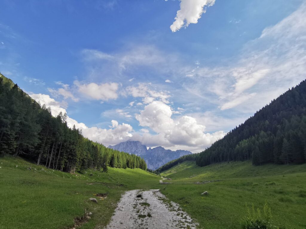 Sella Bieliga
