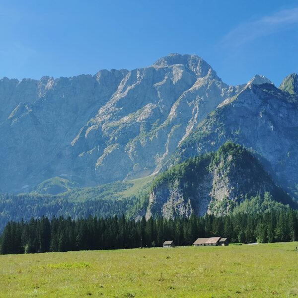 Alpevecchia dei Laghi di Fusine