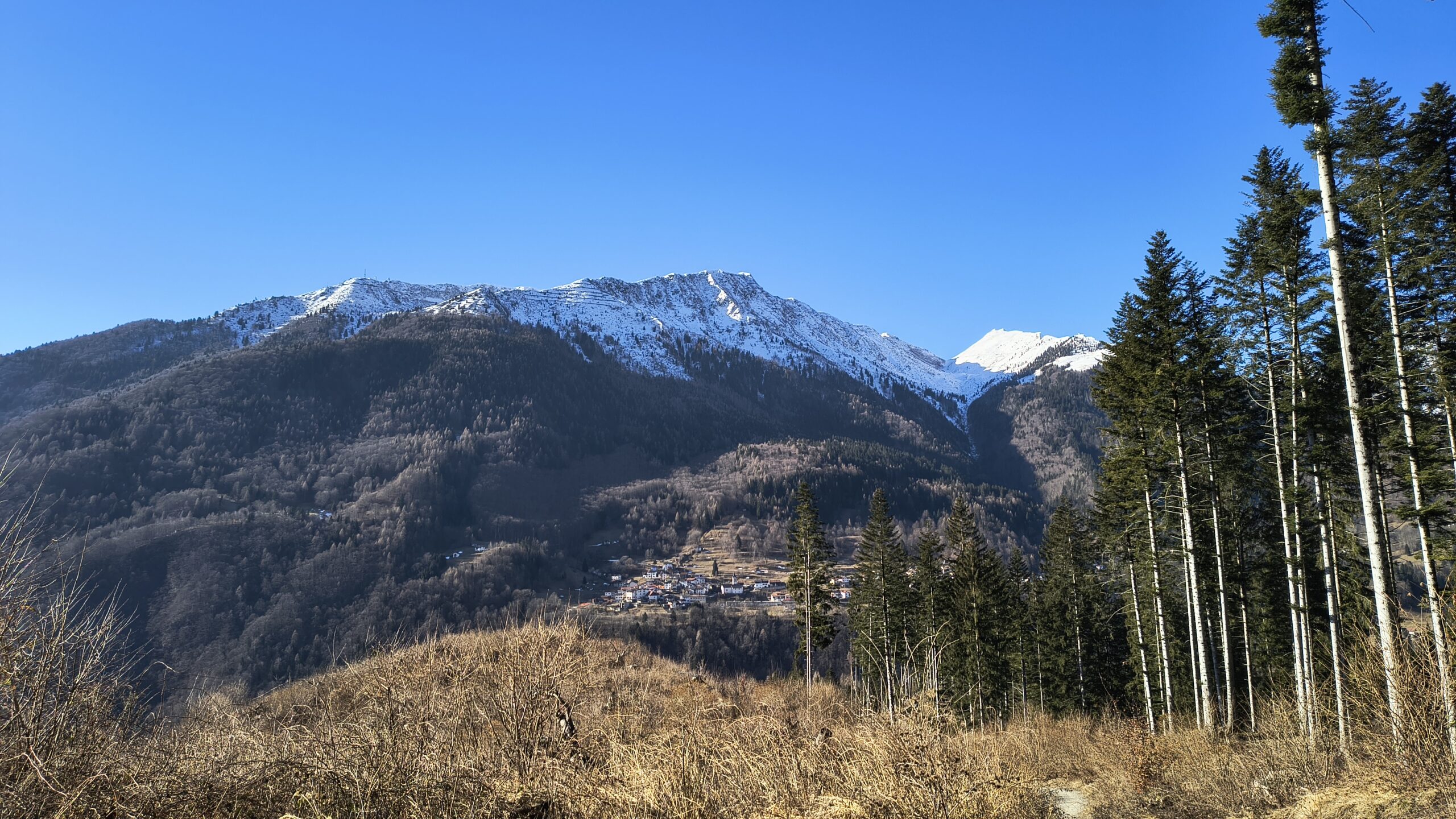 Panorama dal Bosco del Rio Moscardo