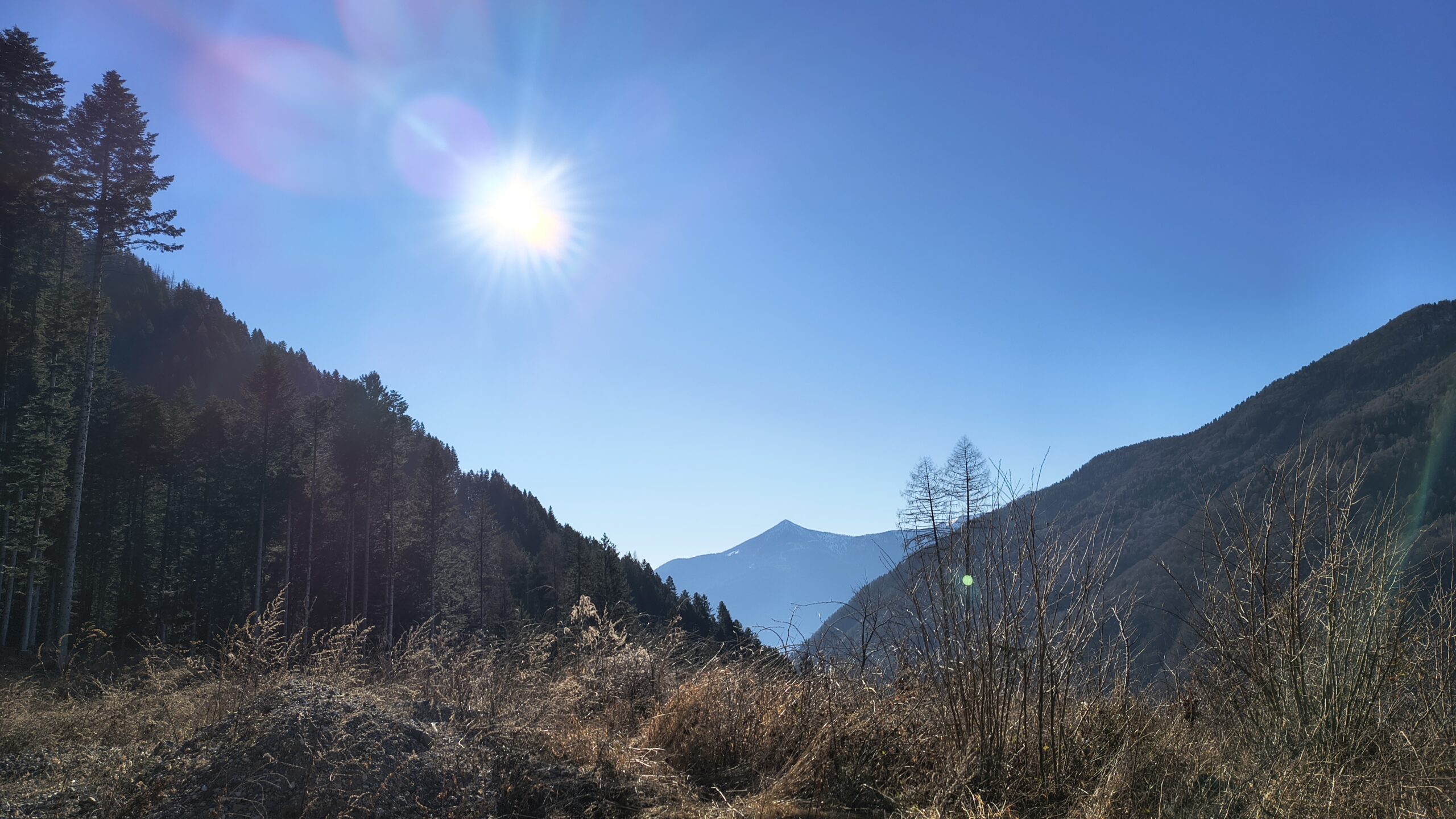 Vista sul Monte Dauda dal Rio Moscardo