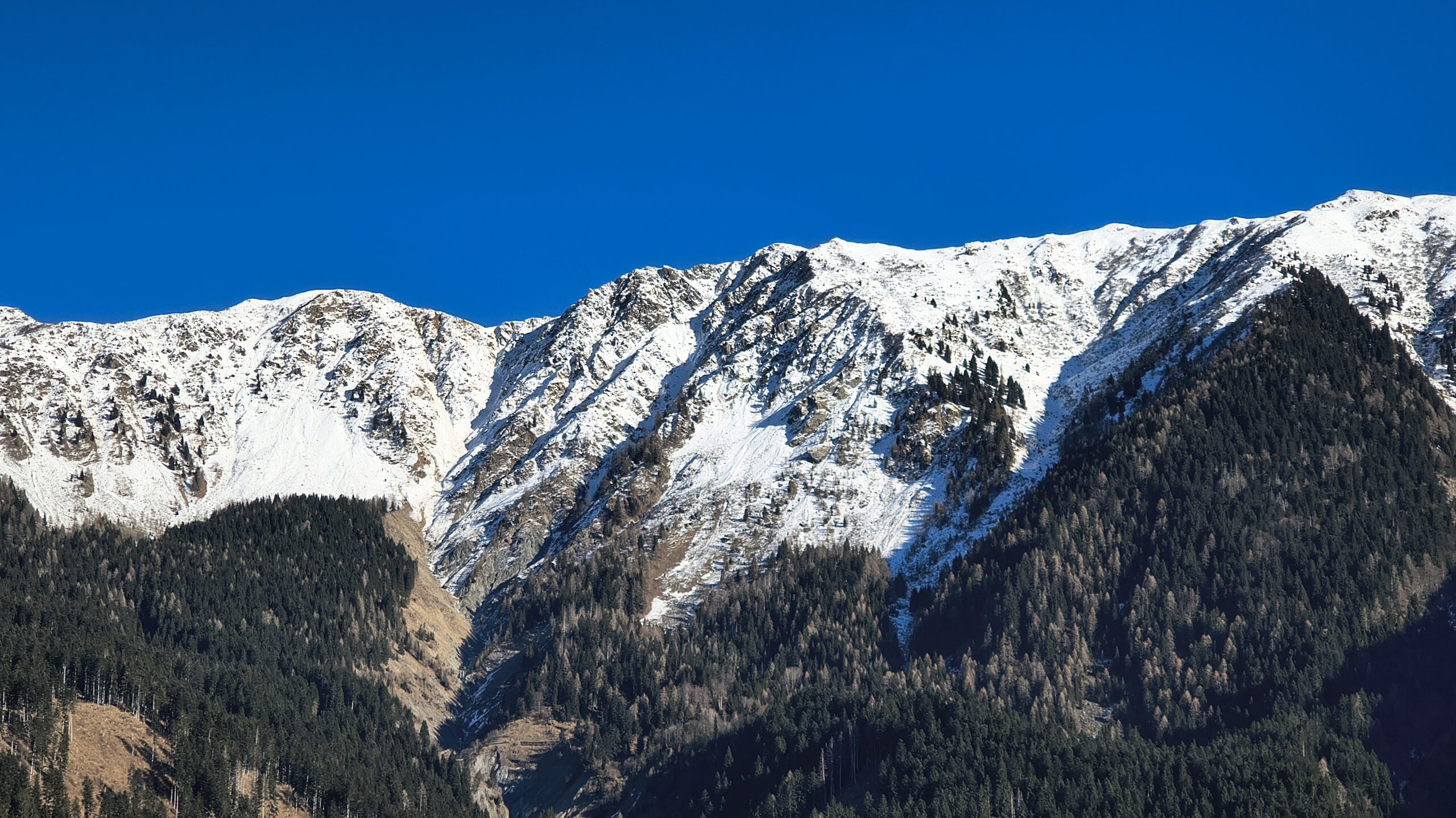 Tra il M. Paularo e Sella Cercevesa