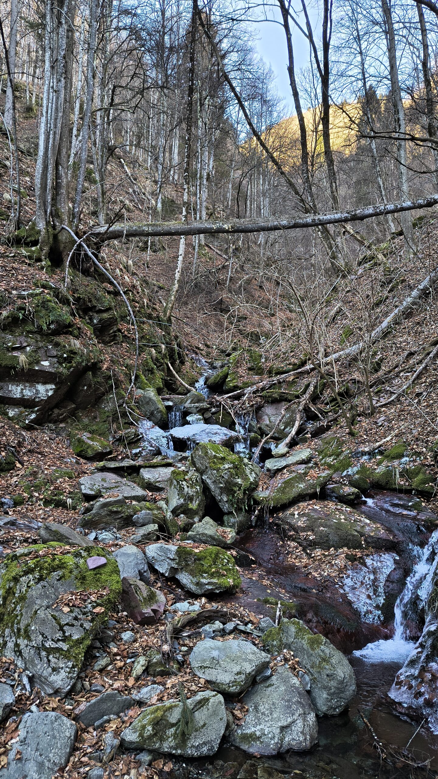 Rio Valacoz in inverno