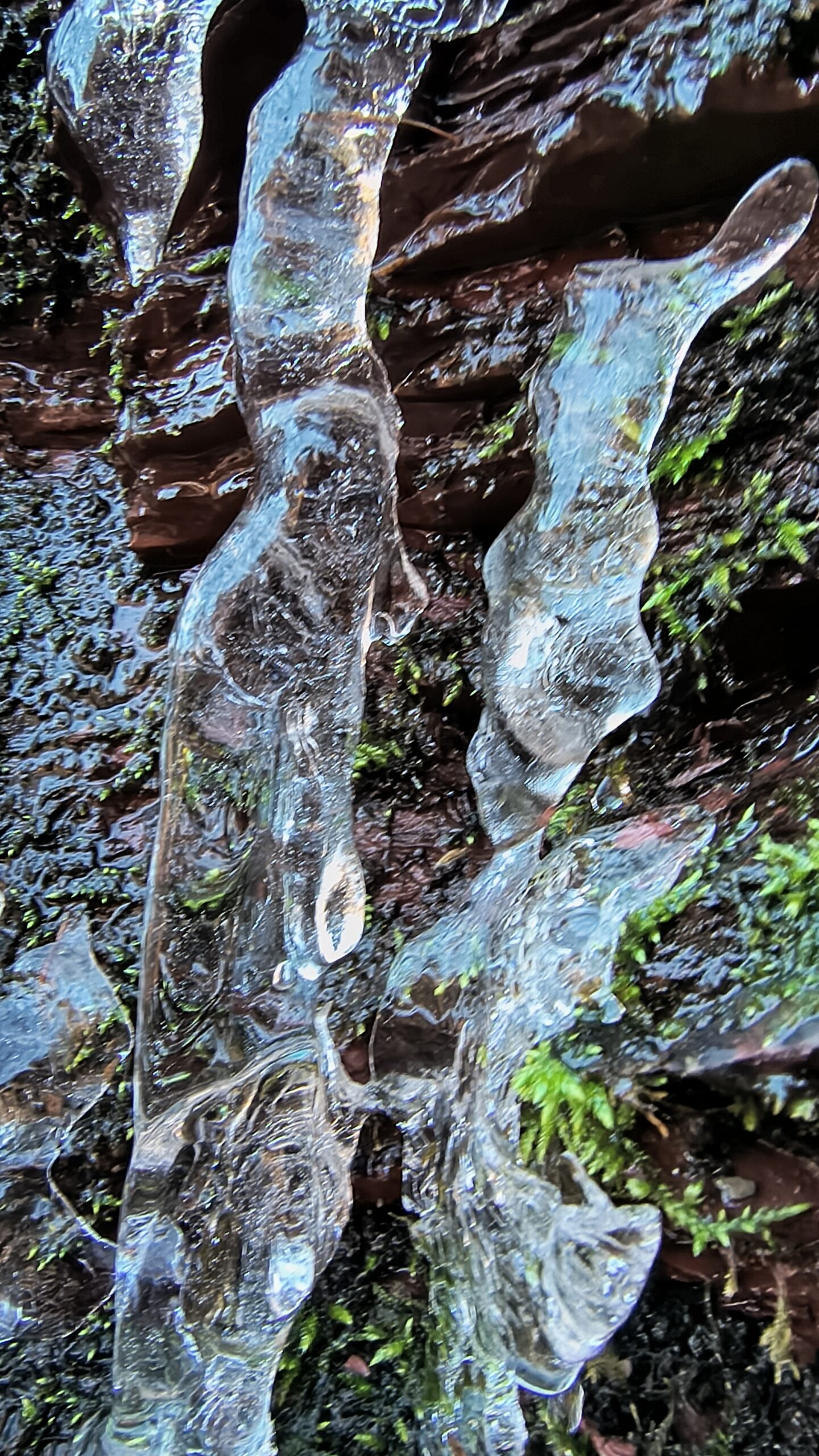 Formazioni di ghiaccio lungo il Rio Valacoz