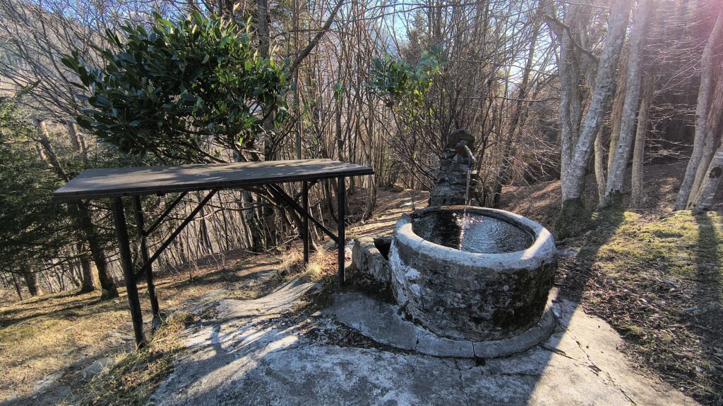Angolo magico lungo la Romea Strata nel Bosco Bandito di Cleulis