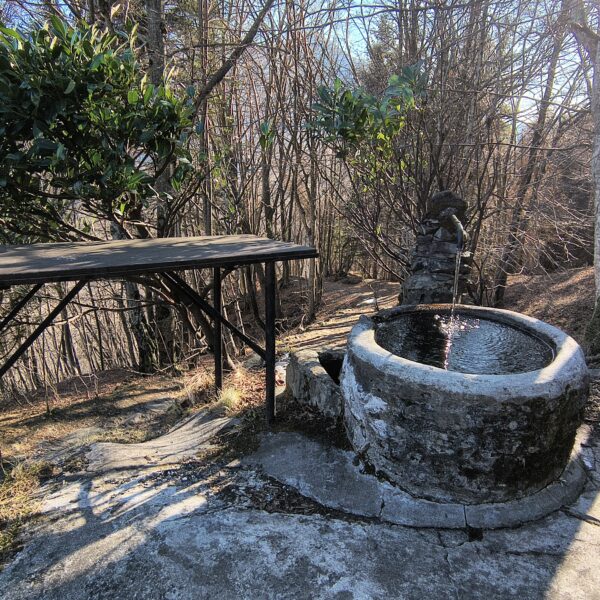 Angolo magico lungo la Romea Strata nel Bosco Bandito di Cleulis