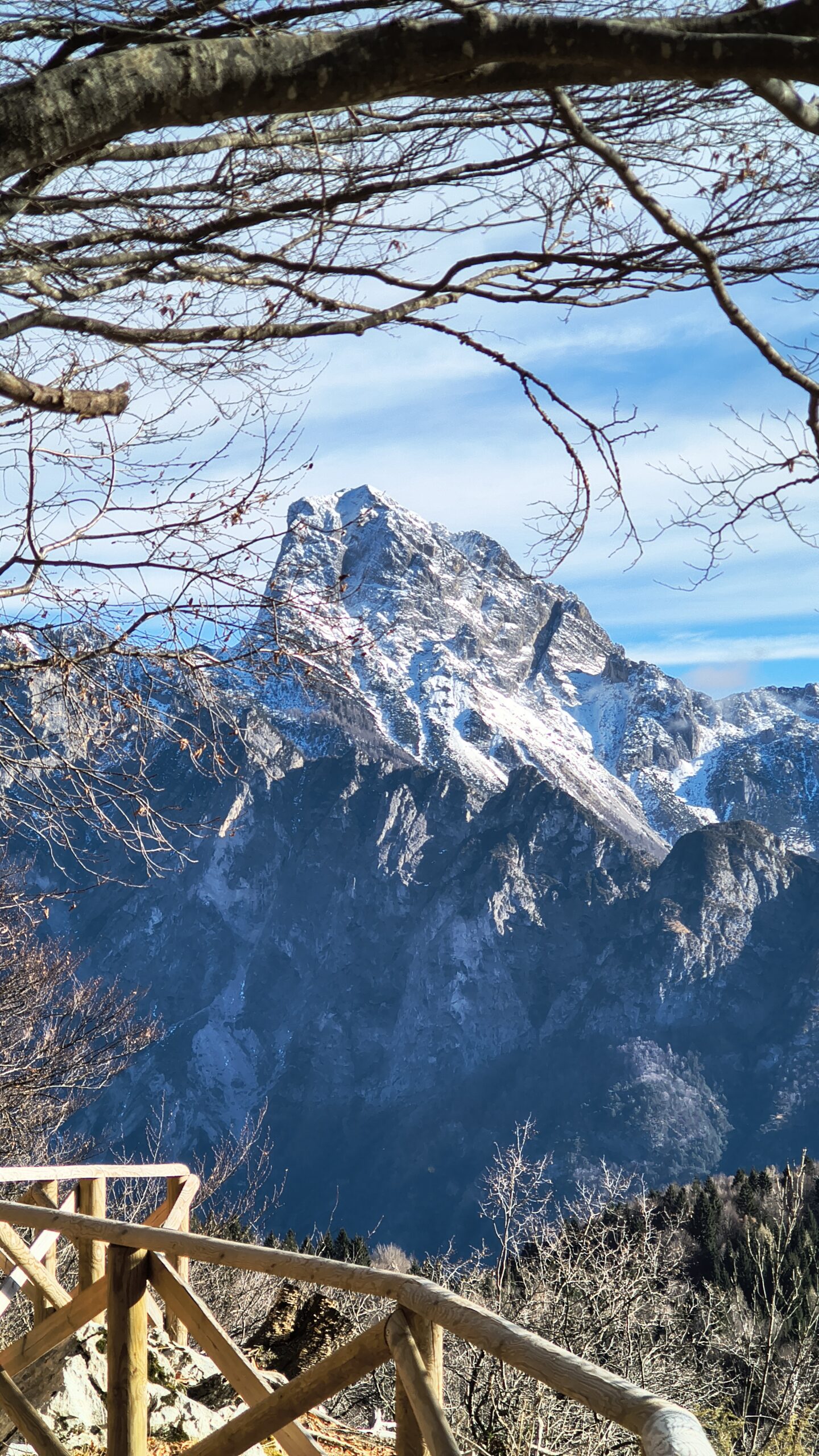 Monte Sernio dal sentiero Chiarsovalis