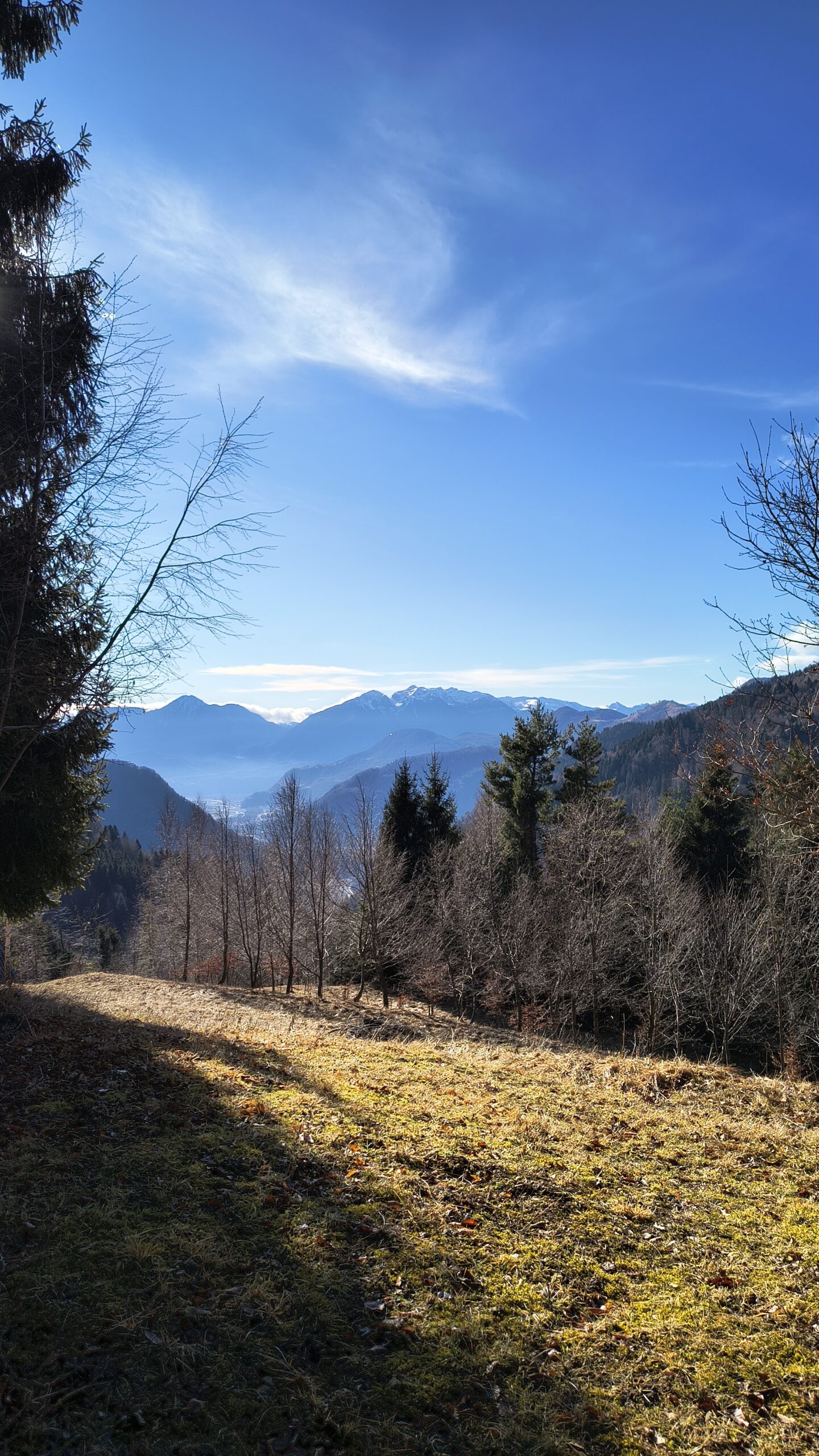 Panorama sul Gruppo del Verzegnis verso Malga Albaret di Sotto