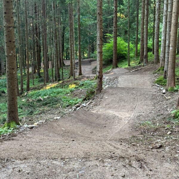 Scopri il Bike Park Zoncolan Corsi di Mountain Bike - dreamtrails.it