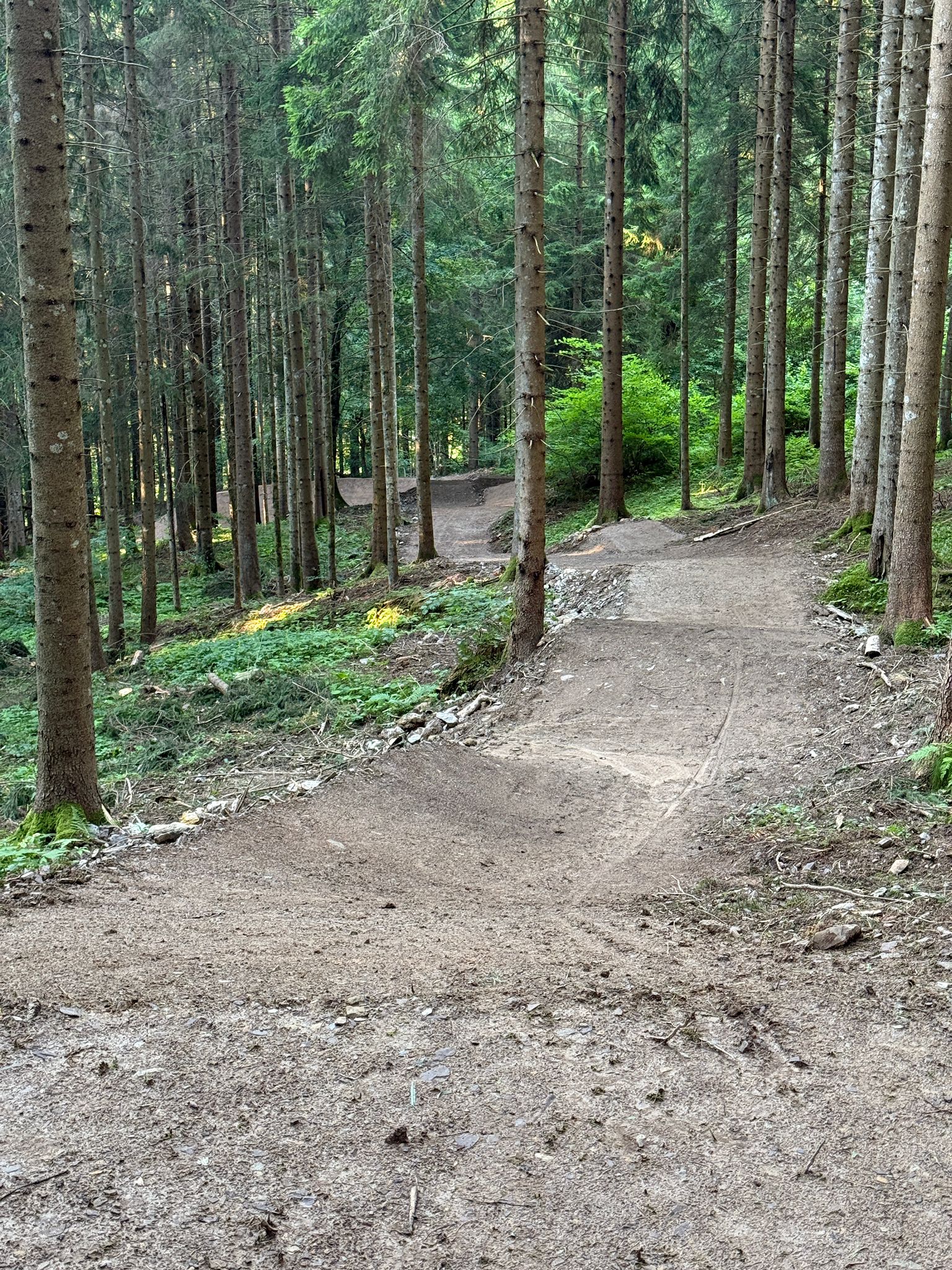 Scopri il Bike Park Zoncolan Corsi di Mountain Bike - dreamtrails.it